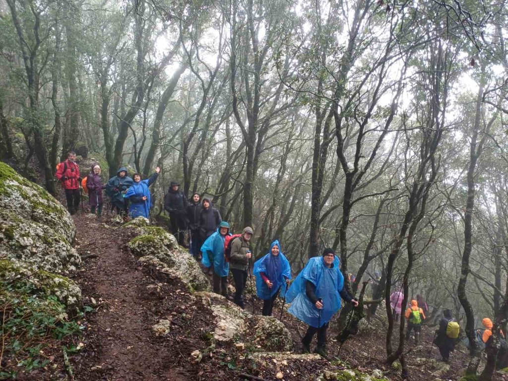 Όρος Αιγάλεω (08.02.2026)