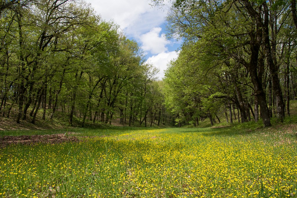Εξόρμηση στη Φολόη (19.04.2026)
