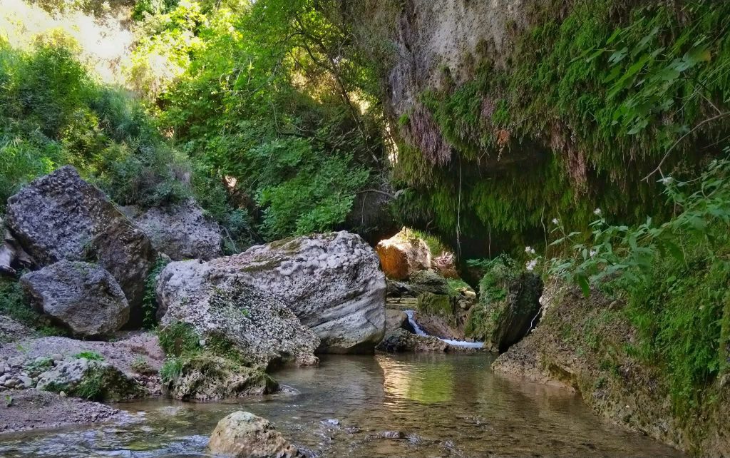 Ποταμοδιάσχιση στο Φαράγγι του Πηνειακού Λάδωνα (28.06.2026)