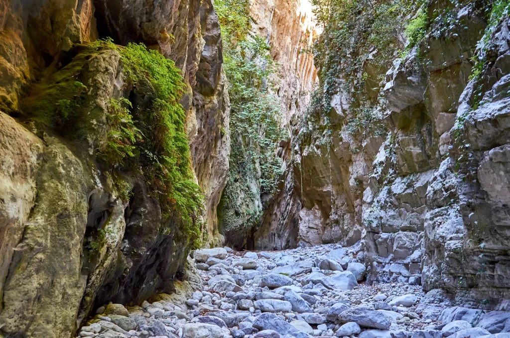 Εξόρμηση στο Φαράγγι Ριντόμου (21.06.2026)
