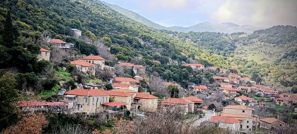Εξόρμηση στην ορεινή Τριφυλία Ι 25/10/2026